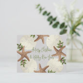 Starfish and Sand Dollars Beach Carte postale de N (Debout devant)