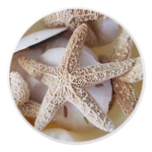 Starfish and Silver Dollar Coastal Ceramic Knob. Keramische Knop (Voorkant)