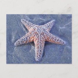 Starfish Briefkaart