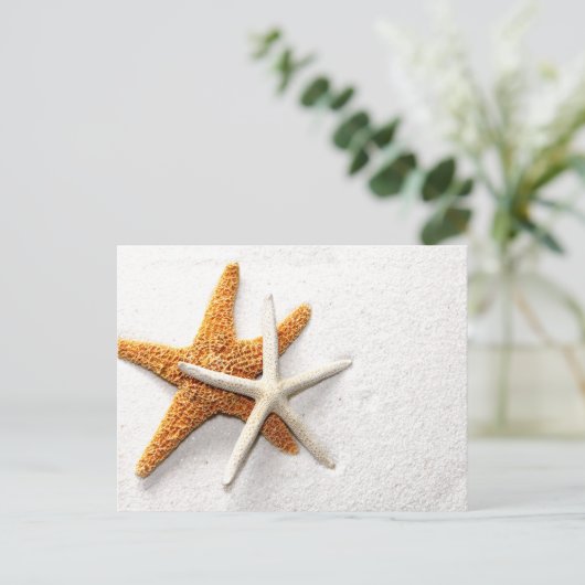 Starfish Briefkaart (Staand voorkant)
