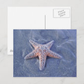 Starfish Briefkaart (Voorkant / Achterkant)