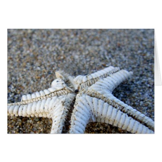 Starfish Card (Voorkant Horizontaal)