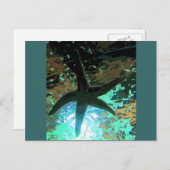 Starfish CB Briefkaart (Voorkant / Achterkant)