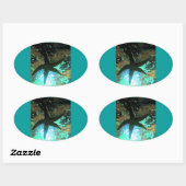 Starfish CB Ovale Sticker (Vel)