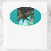 Starfish CB Ovale Sticker (Tas)