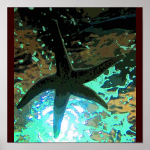 Starfish CB Poster