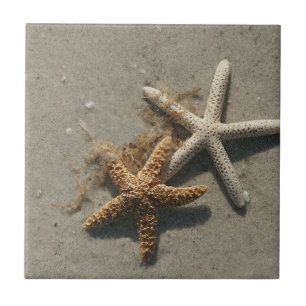 Starfish Ceramic Tile Trivet Tegeltje