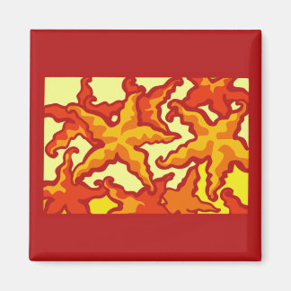 Starfish Compositie Magneet