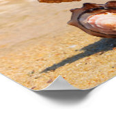 Starfish en Seashells op de strand Poster (Hoek)