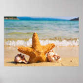 Starfish en Seashells op de strand Poster (Voorkant)