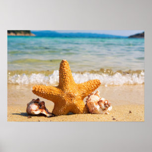Starfish en Seashells op de strand Poster