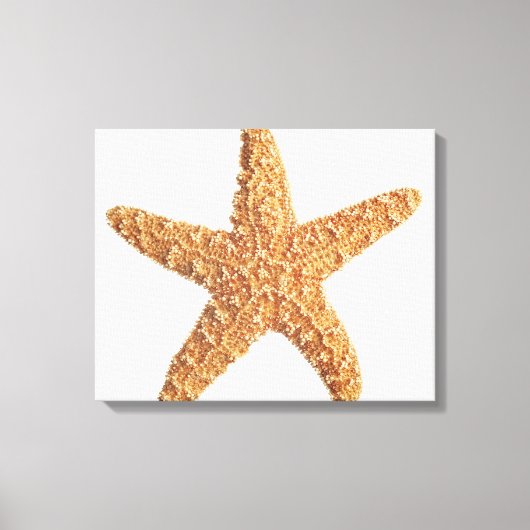 Starfish geïsoleerd op wit canvas afdruk (Voorkant)