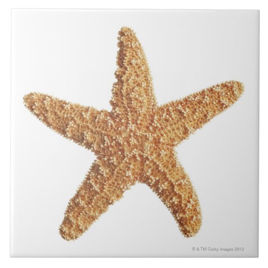 Starfish geïsoleerd op wit tegeltje (Voorkant)