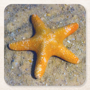 Starfish in de zand vierkante kartonnen onderzetter