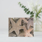 Starfish in het hele briefkaart (Staand voorkant)