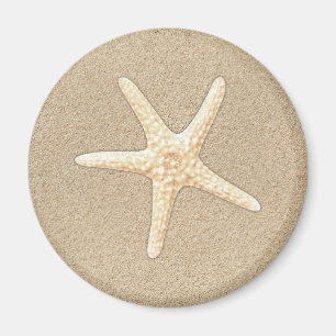Starfish Magnet Magneet