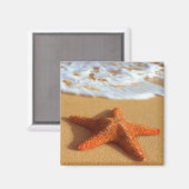 Starfish Magnet Magneet (Voorkant / Achterkant)