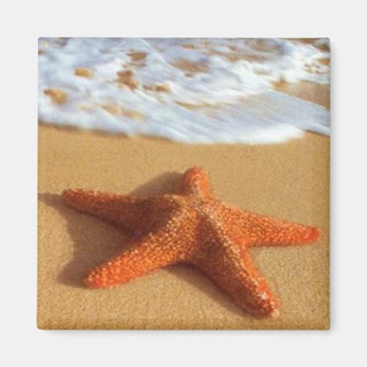 Starfish Magnet Magneet (Voorkant)