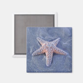 Starfish Magnet Magneet (Voorkant / Achterkant)