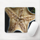 Starfish Mousepad Muismat (Met muis)