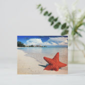 Starfish, Nassau, Bahamas Briefkaart (Staand voorkant)
