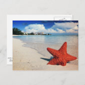 Starfish, Nassau, Bahamas Briefkaart (Voorkant / Achterkant)