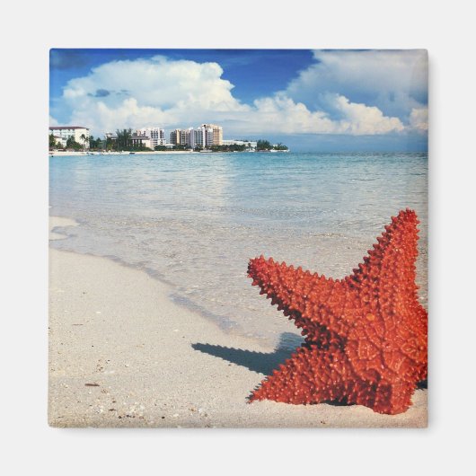 Starfish, Nassau, Bahamas Magneet (Voorkant)