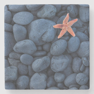Starfish on Black Rocks langs de kust IJsland Stenen Onderzetter