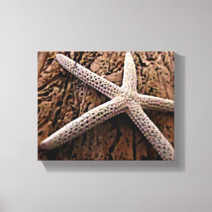 Starfish on Driftwood Canvas Afdruk
