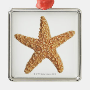 Starfish on White Metalen Ornament
