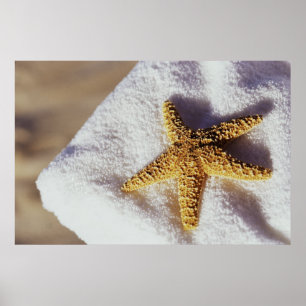 Starfish op een handdoek poster
