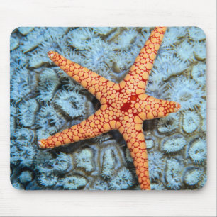 Starfish op een koraal met pokken muismat