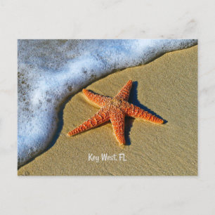 Starfish, op het strand in Key West, Florida, Briefkaart