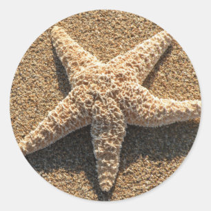 Starfish op het strand ronde sticker