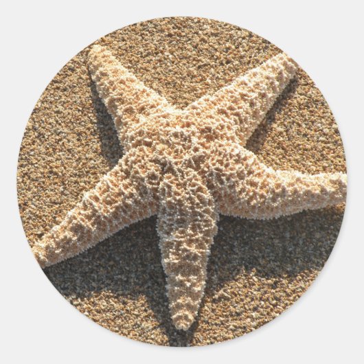 Starfish op het strand ronde sticker (Voorkant)