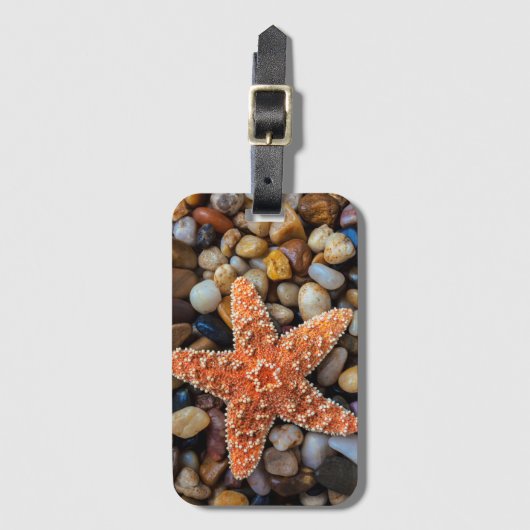 Starfish op Rocks Bagagelabel (Voorkant (verticaal))