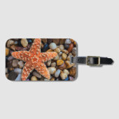 Starfish op Rocks Bagagelabel (Voorkant (horizontaal))