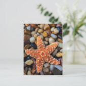 Starfish op Rocks Briefkaart (Staand voorkant)
