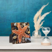 Starfish op Rocks Fotoplaat (Insitu)