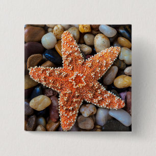 Starfish op Rocks Vierkante Button 5,1 Cm