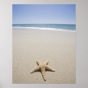 Starfish op strand van de Atlantische Oceaan Poster