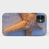 Starfish op witte zand Case-Mate iPhone case (Achterkant (horizontaal))
