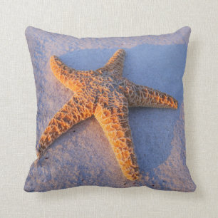 Starfish op witte zand kussen