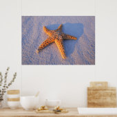 Starfish op witte zand poster (Keuken)