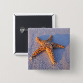 Starfish op witte zand vierkante button 5,1 cm (Voorkant /achterkant)