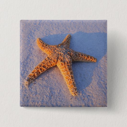 Starfish op witte zand vierkante button 5,1 cm (Voorkant)