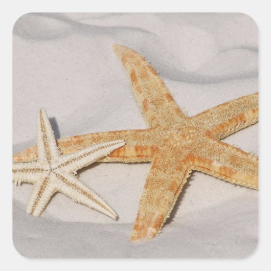 Starfish Sticker (Voorkant)