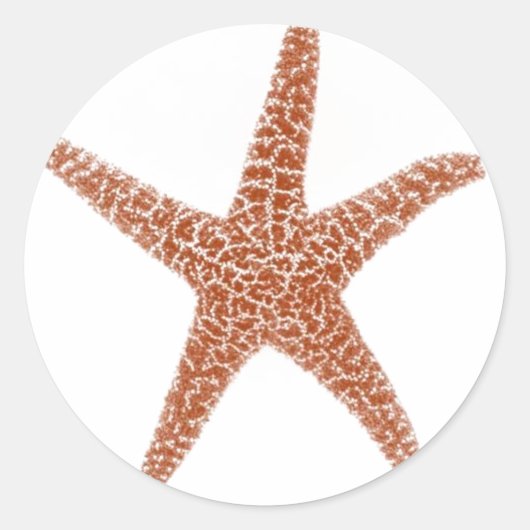 Starfish Sticker (Voorkant)