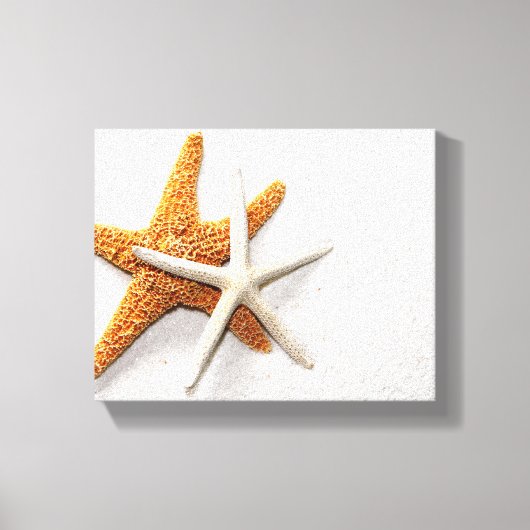 Starfish Stretted Canvas Print (Voorkant)