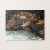 Starfish Tidepool Legpuzzel (Horizontaal)